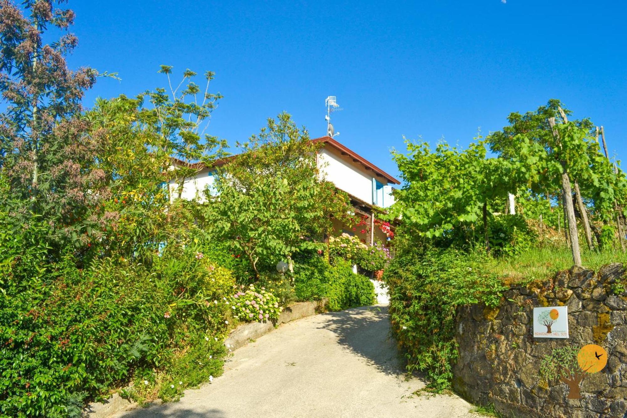 Benvenuti Nel Sud Bed and Breakfast Sessa Cilento Eksteriør billede
