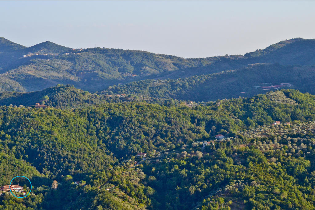 Benvenuti Nel Sud Bed and Breakfast Sessa Cilento Eksteriør billede