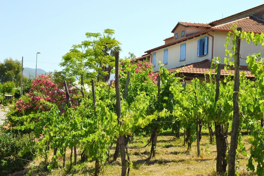 Benvenuti Nel Sud Bed and Breakfast Sessa Cilento Eksteriør billede