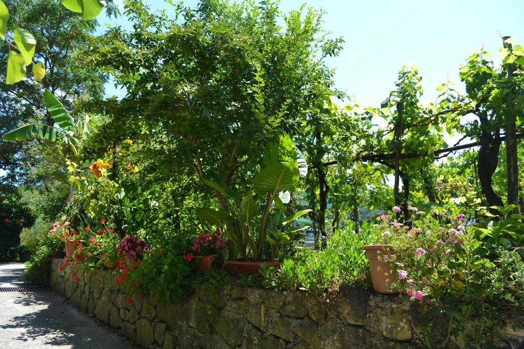Benvenuti Nel Sud Bed and Breakfast Sessa Cilento Eksteriør billede